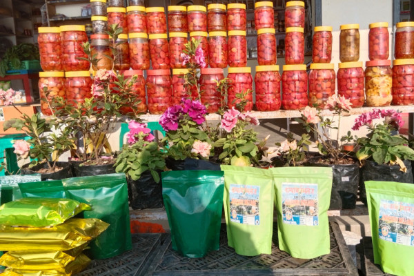 इलाम पुगेपछि कोशेली नबोकी फर्कैदनन् कोही